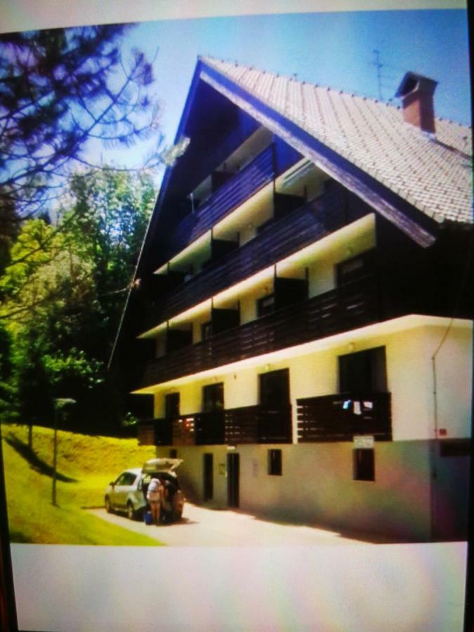 Planika B&M Leilighet Bohinj Eksteriør bilde
