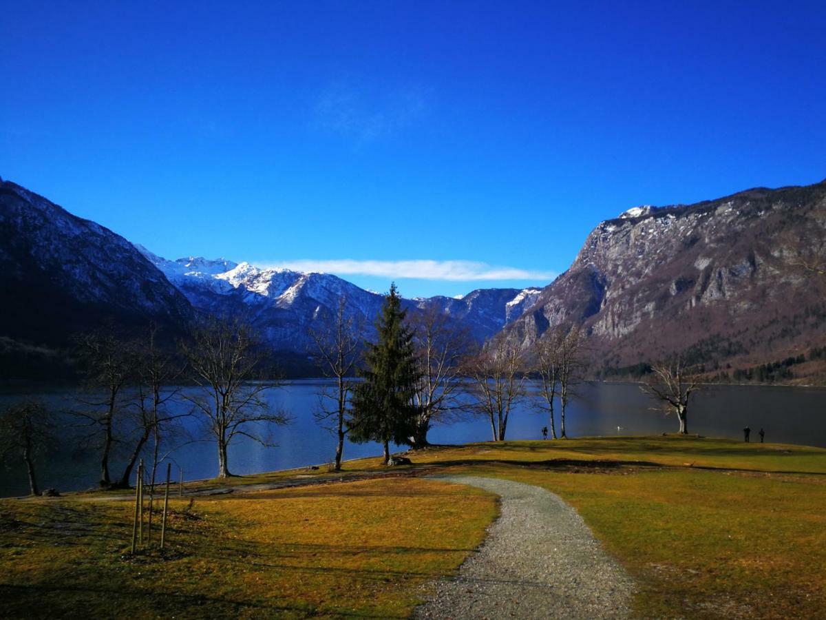 Planika B&M Leilighet Bohinj Eksteriør bilde