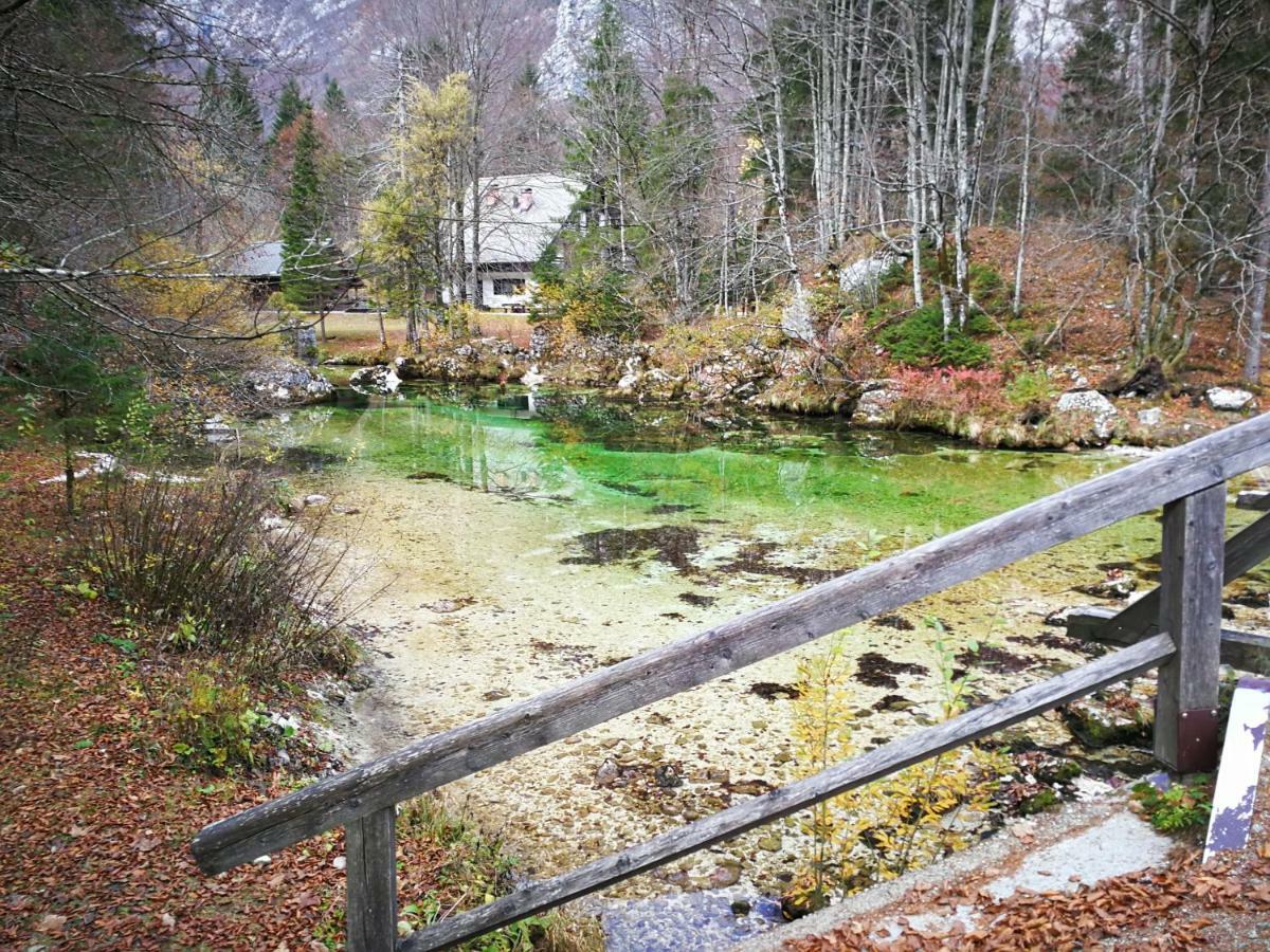 Planika B&M Leilighet Bohinj Eksteriør bilde