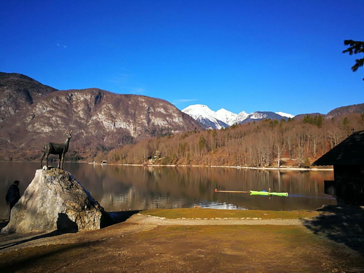 Planika B&M Leilighet Bohinj Eksteriør bilde